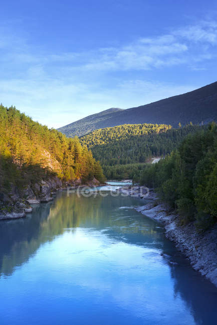 View of river and forest trees in sunset light — Stock Photo
