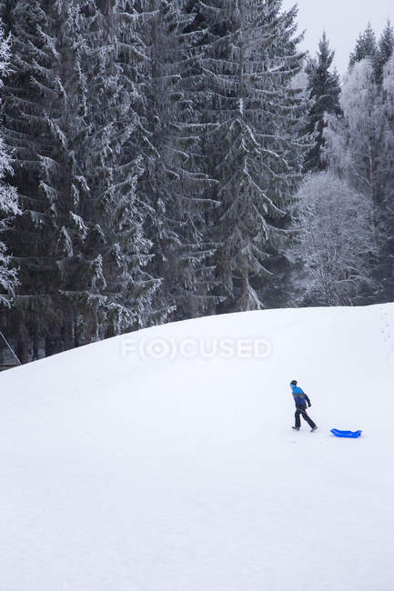 Menino andando na colina nevada e puxando trenó — Fotografia de Stock