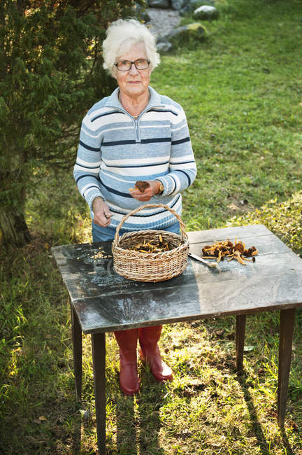 Portrait of senior woman harvesting chanterelle mushrooms — Stock Photo