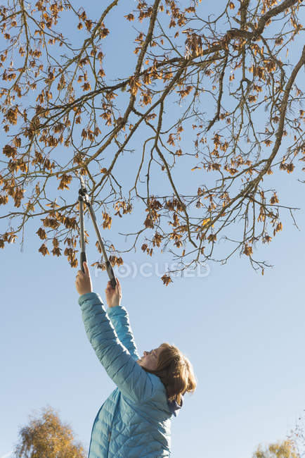 Vista lateral de la mujer cortando ramas en otoño - foto de stock