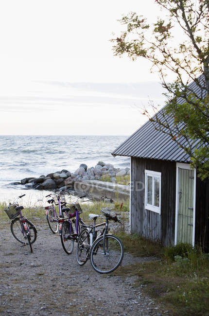 Велосипеди біля невеликого дерев'яного котеджу на узбережжі — стокове фото