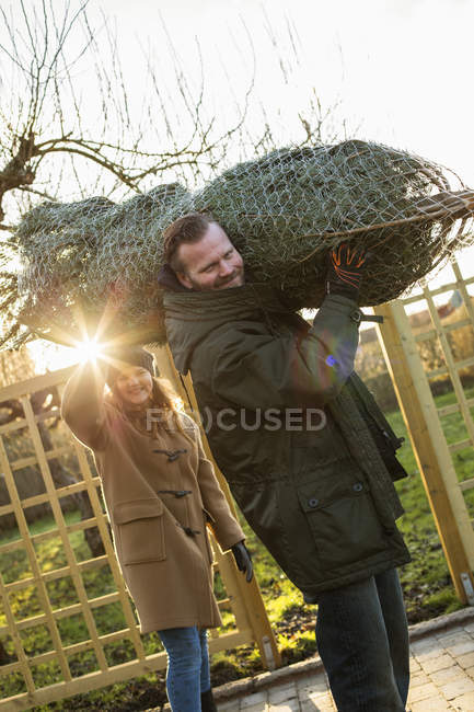 Man with daughter carrying tied up fir tree — Stock Photo