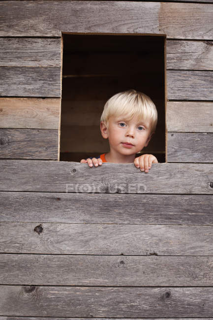 Garçon regardant par la fenêtre de la maison arbre — Photo de stock