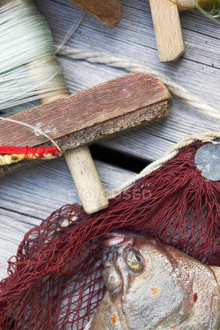 Vista elevada de peixes deitados em prancha de madeira — Fotografia de Stock
