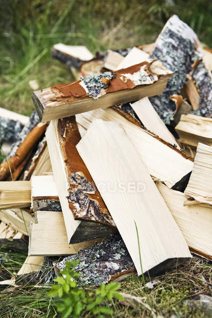Close up shot of firewood heap on ground — Stock Photo