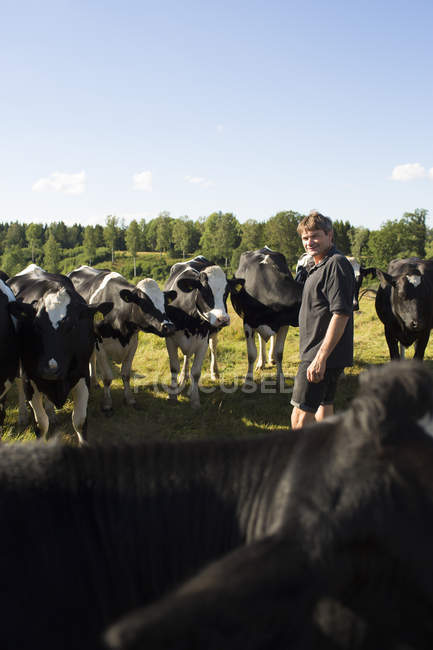 Agricultor posando com vacas em pastagem — Fotografia de Stock
