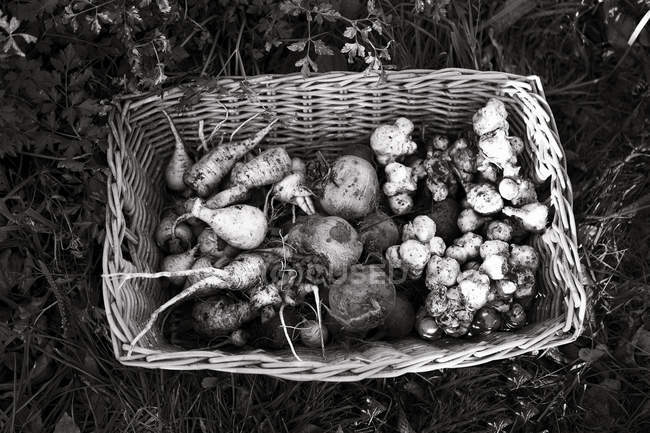 Top view of root vegetables in basket, black and white — Stock Photo