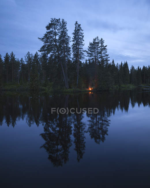 Margem do lago com árvores altas refletindo na água — Fotografia de Stock