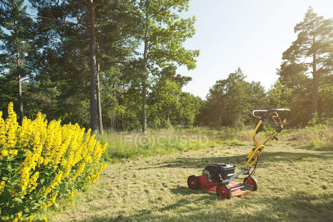 Cortador de grama no gramado em luz solar brilhante com árvores no fundo — Fotografia de Stock