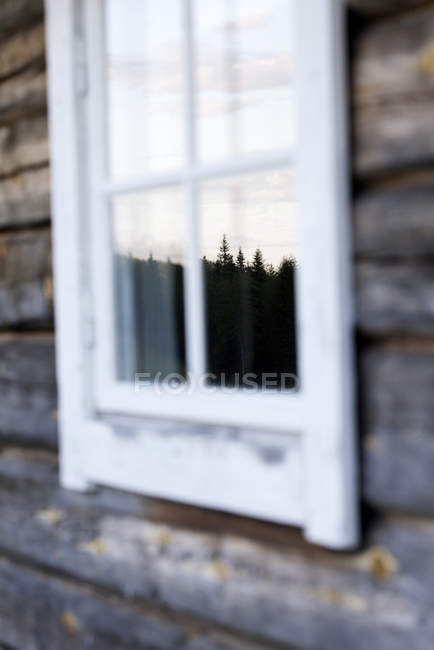 Tiro de perto de janela de cabine de log com reflexo de árvores — Fotografia de Stock