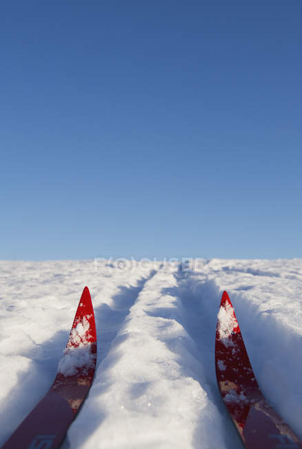 Close up tiro de esquis no sol iluminado neve — Fotografia de Stock