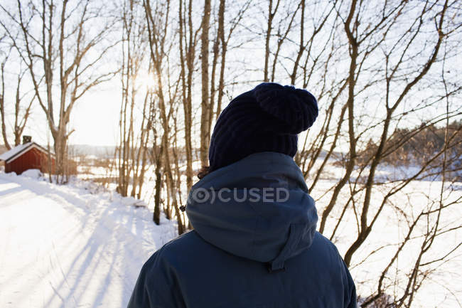 Visão traseira da pessoa que anda na paisagem de inverno — Fotografia de Stock