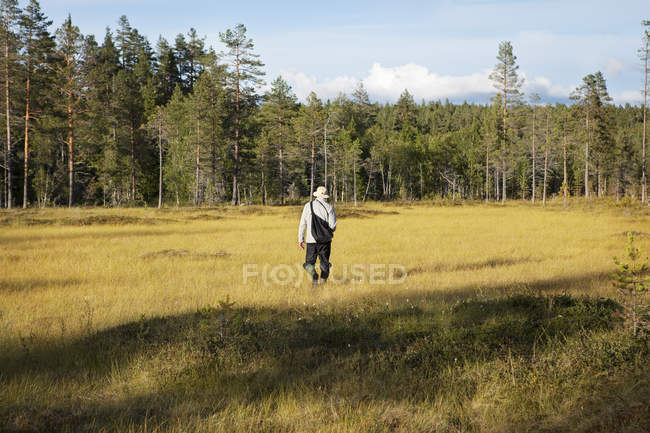 Вид сзади на человека, идущего по полю — стоковое фото