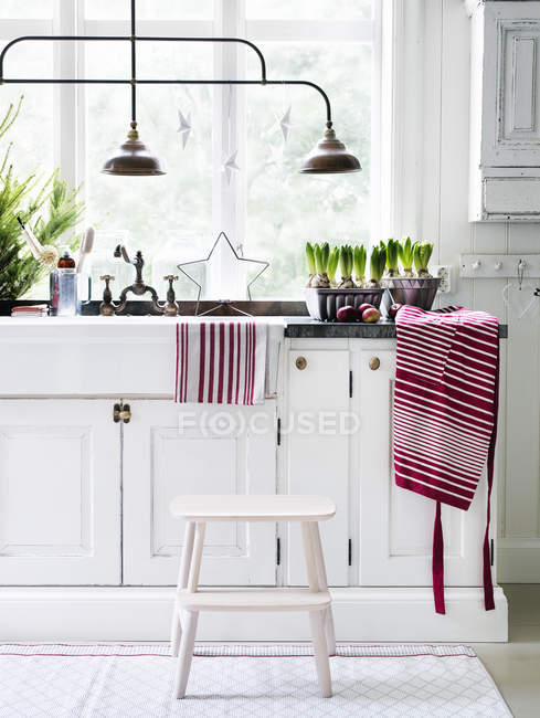 Біла кухонна стійка в заміському будинку — стокове фото
