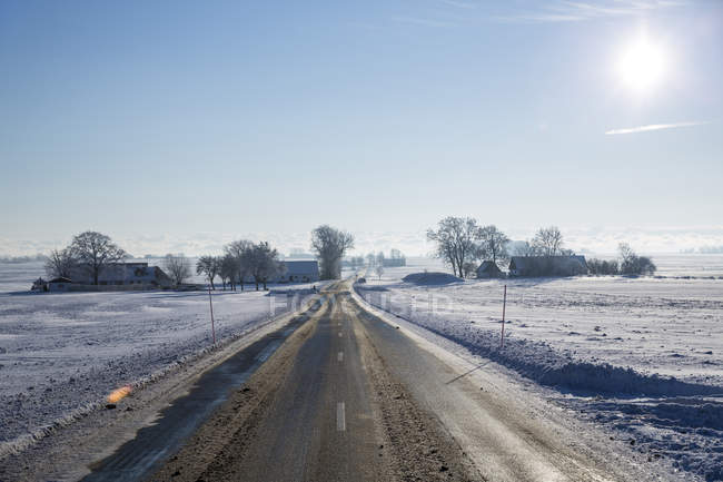 Вид вздовж мокрої сільської дороги взимку — стокове фото