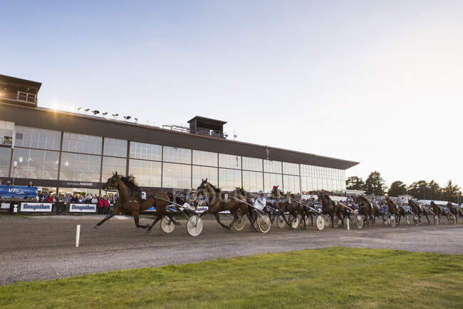 View of harness racing competition in Sundsvall, Sweden — Stock Photo