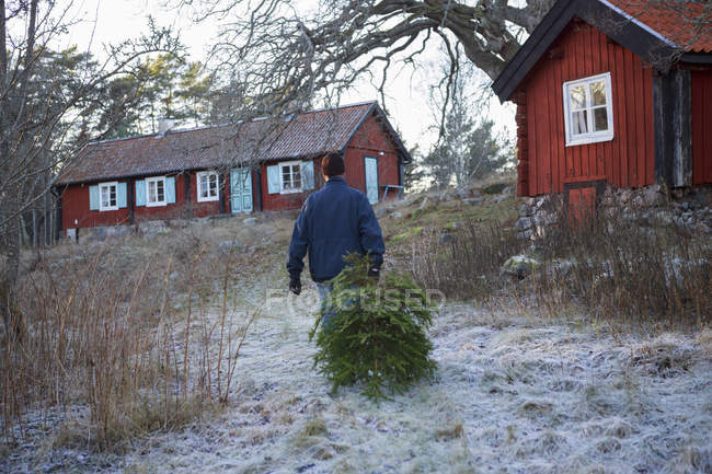 Man walking and carrying tree, rear view — Stock Photo