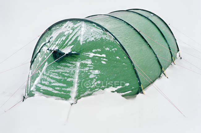 Primo piano della tenda verde sulla neve — Foto stock