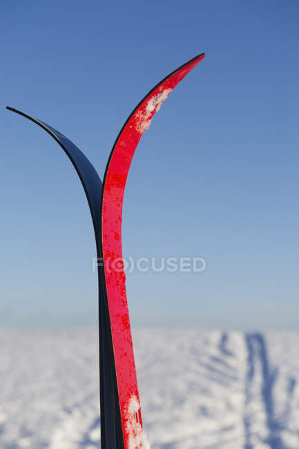 Close up shot of skis and snowy landscape on background — Stock Photo