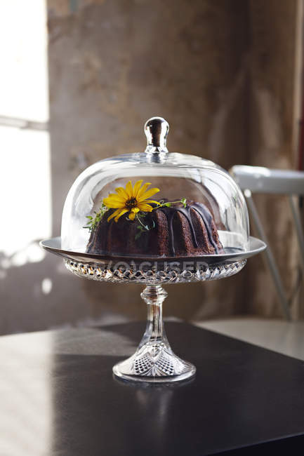 Chocolate cake in glass cakestand on table — Stock Photo