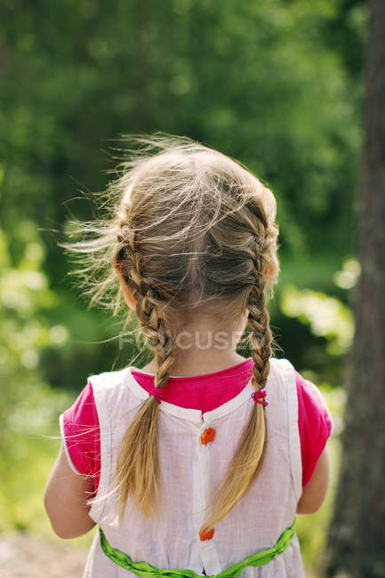 Вид сзади на девушку с косичками — стоковое фото