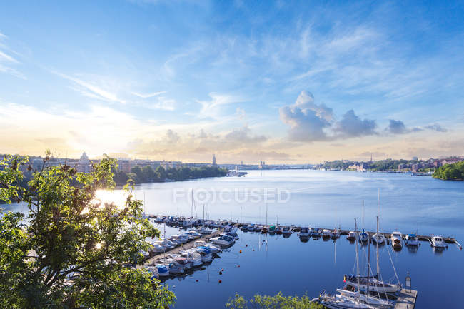 Elevated view of city harbor with moored boats — Stock Photo