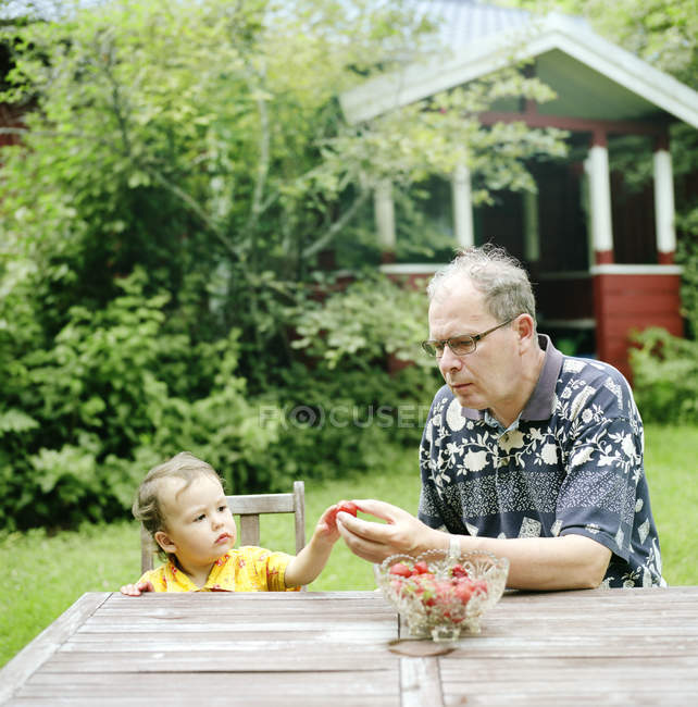 Grandfather giving strawberry to granddaughter, focus on foreground — Stock Photo