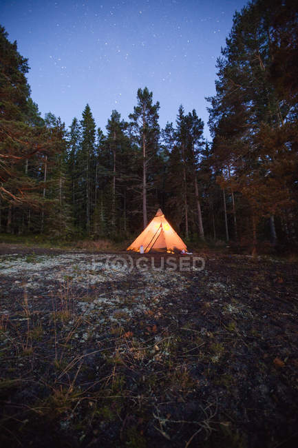 Glowing tent set in forest at night — Stock Photo