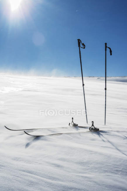 Ski poles and skis on snowcapped hill in bright sunlight — Stock Photo