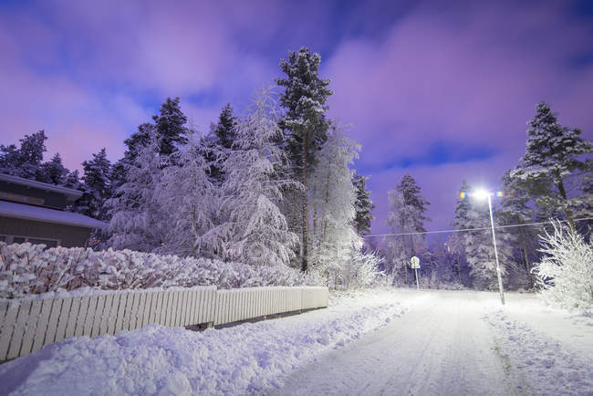 Strada rurale innevata, alberi ghiacciati e lampioni — Foto stock