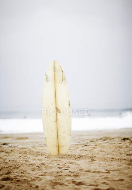 Vista frontal de una tabla de surf en la playa - foto de stock