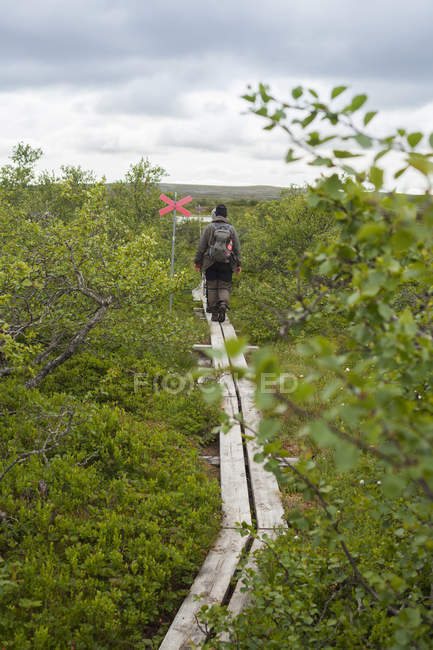 Visão traseira da mulher andando através de arbustos — Fotografia de Stock