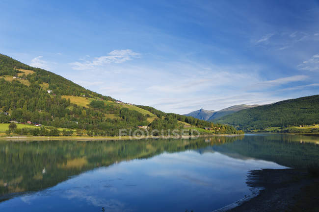 River and green woods under blue sky — Stock Photo