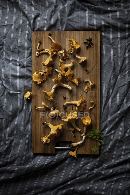 Pfifferlinge von oben auf dem Holzschneidebrett — Stockfoto