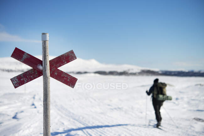 Vista posteriore dello sciatore nel paesaggio invernale — Foto stock