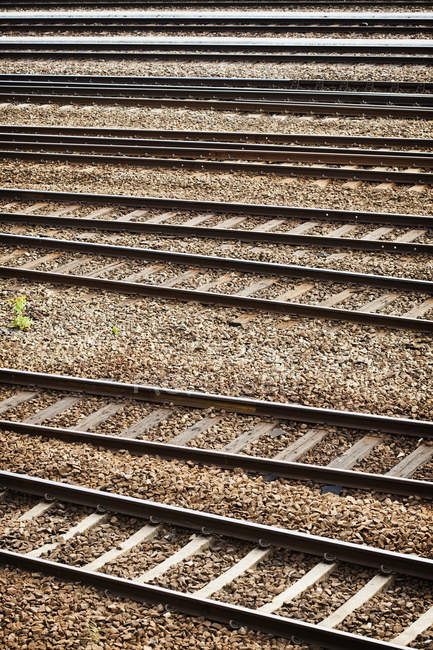 Вид спереду залізничних колій на залізничному вокзалі — стокове фото