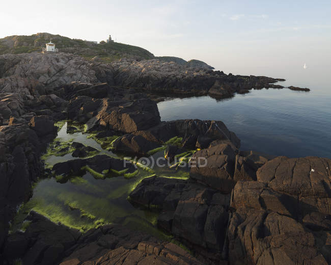 Rocas costeras con algas y edificios lejanos - foto de stock