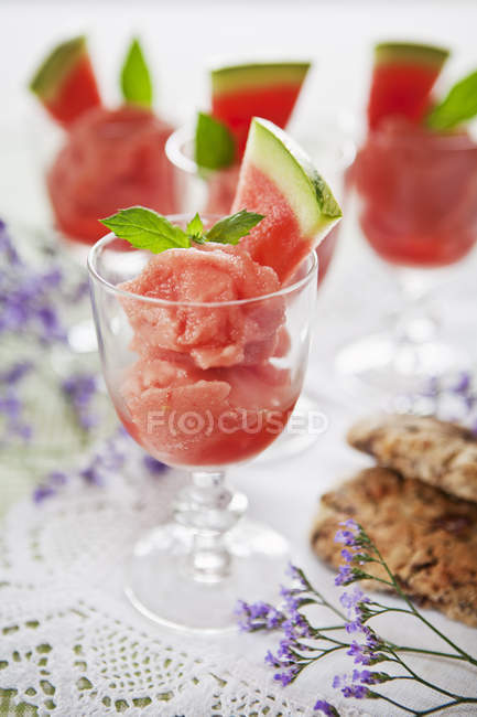 Portion of watermelon granita with fruit slice and mint leaves — Stock Photo
