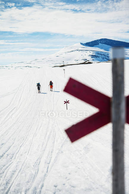 Vue arrière de deux skieurs dans un paysage hivernal — Photo de stock