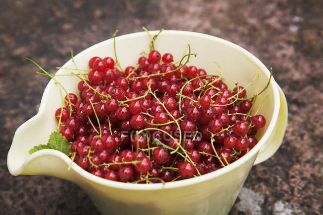 Elevated view of redcurrant in yellow bowl — Stock Photo