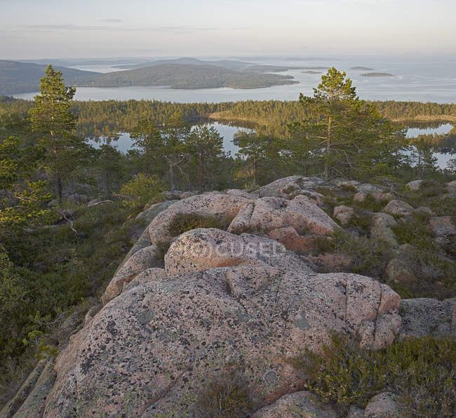 Woods and sea viewed from mountain peak — Stock Photo