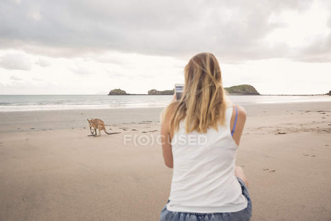 Mujer tomando fotos de canguro en la playa - foto de stock