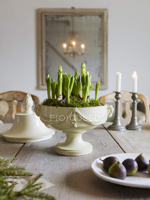 Elegante mesa de comedor con maceta y higos - foto de stock