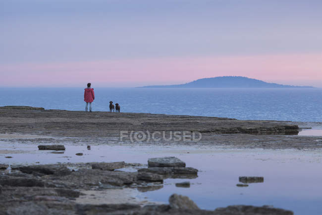 Mujer con perro de pie en la orilla - foto de stock