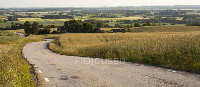 Route dans le paysage rural avec des arbres verts et des champs — Photo de stock