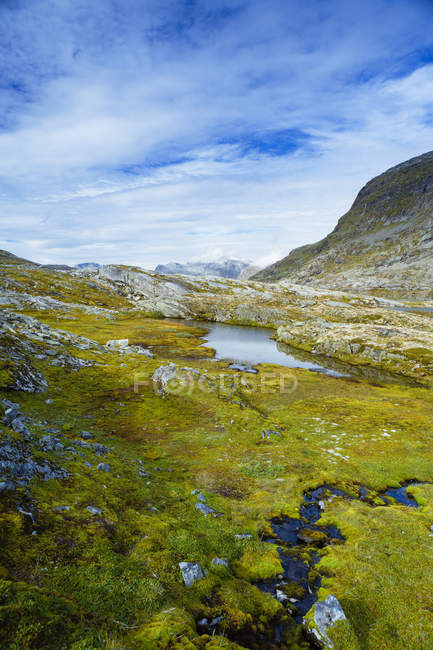 Landschaft mit grasbewachsenem Tal und Bergkette — Stockfoto