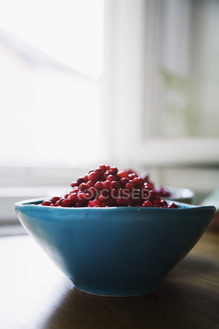 Tigela de cranberries frescos colhidos na mesa — Fotografia de Stock