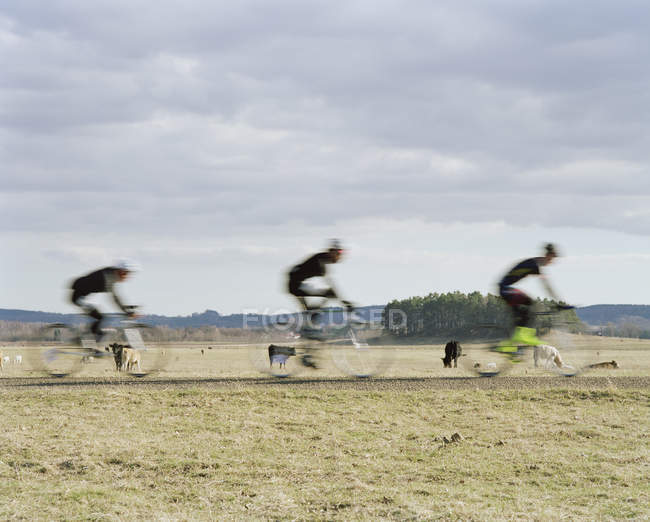 Вид розмитих велосипедистів, вибірковий фокус — стокове фото