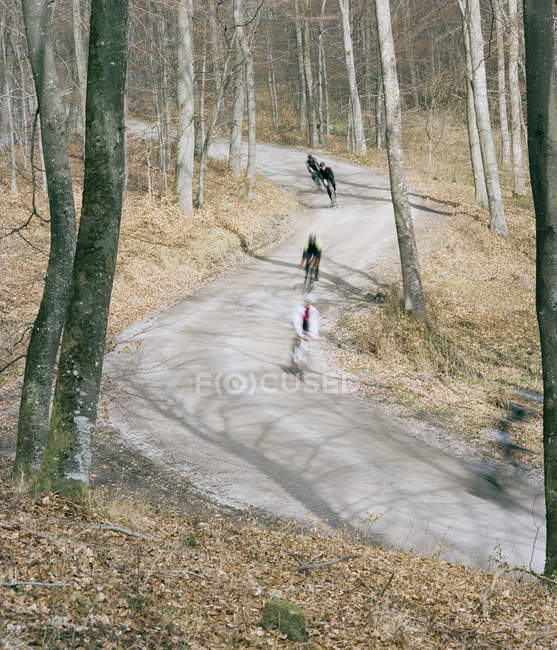 Велогонщики в лесу, селективный фокус — стоковое фото