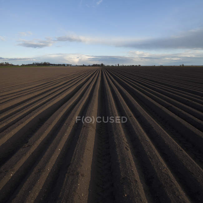 Diminishing perspective view of plowed field under cloudy sky — Stock Photo